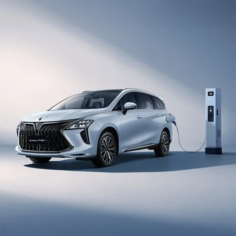 Forthing 4 PHEV – vedere 3/4 din față