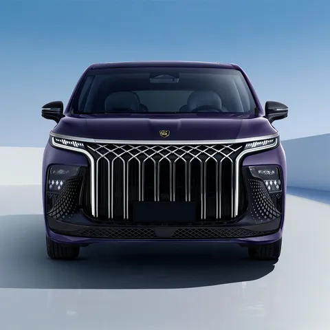 Forthing 9 HEV – front view